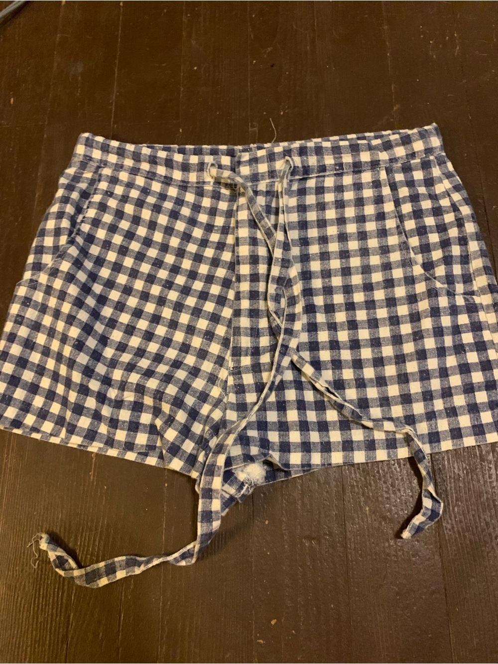 True Vintage Blue and White Gingham High Waist Drawstring Shorts